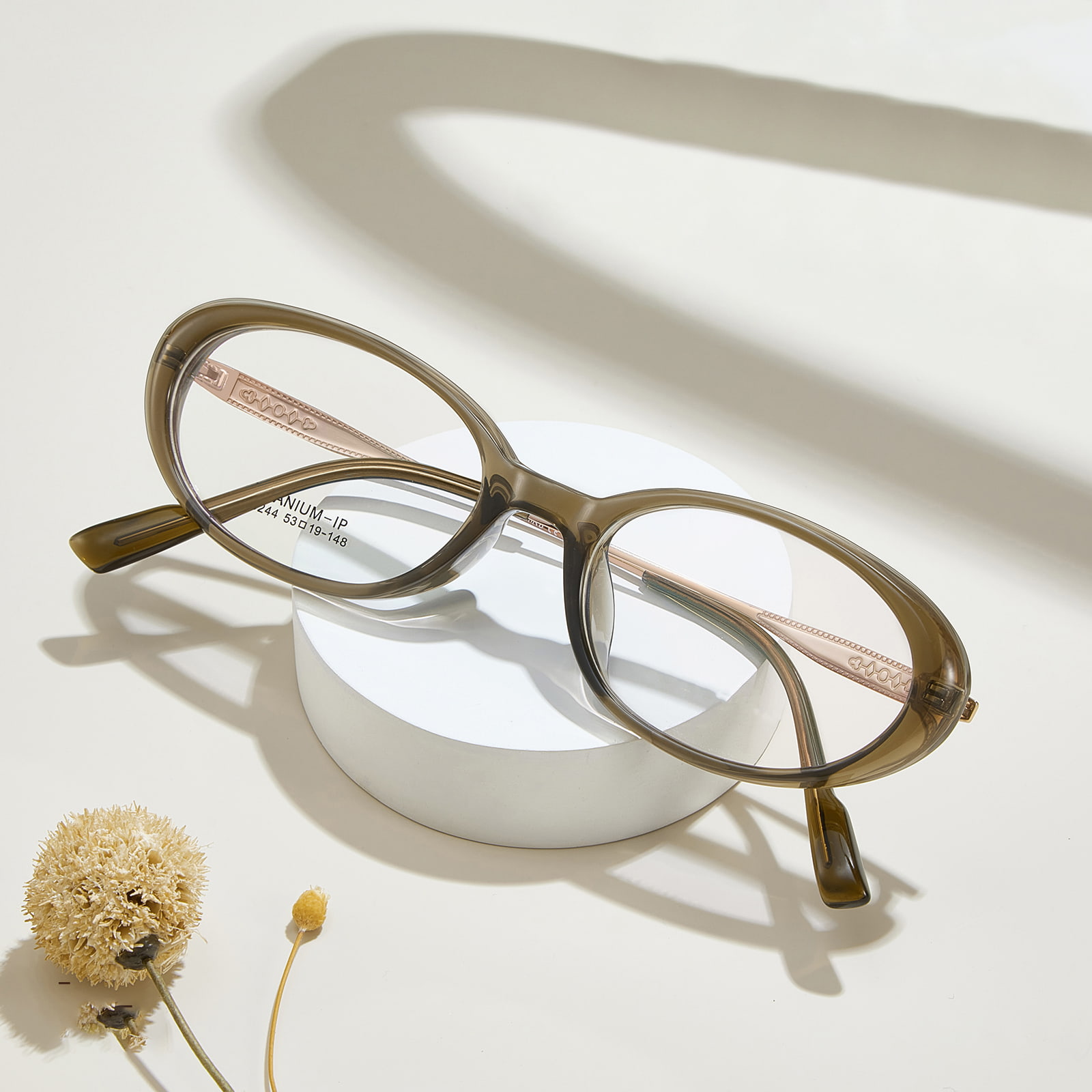 M8244 Oval Wide-Rim Corrosion Resistant β Titanium Salamin